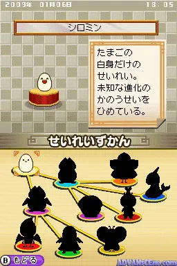 Snapshot